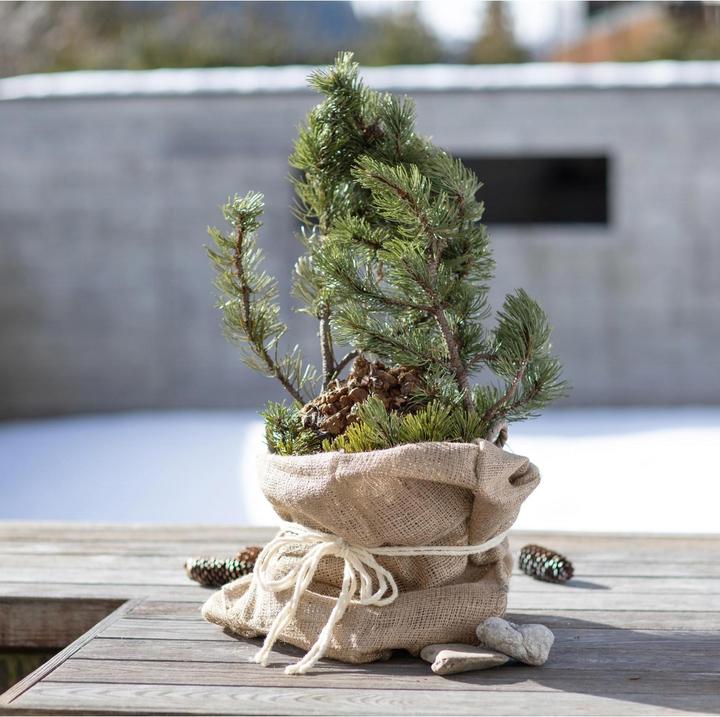 Image du produit Windhager Sac de jute