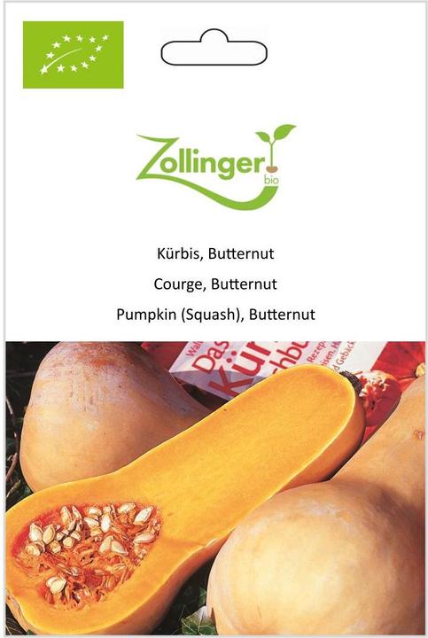 Zollinger Bio Courge, butternut (Germes)