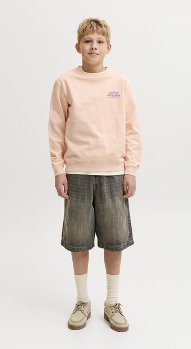 Produktbild Jack & Jones Sweatshirt Junior Sweatshirt (140)