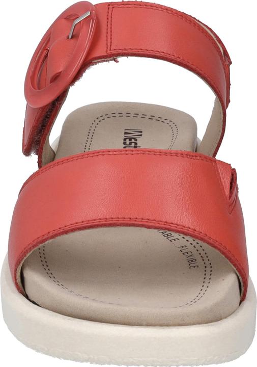 Actual product image Westland 25408-409 (42)