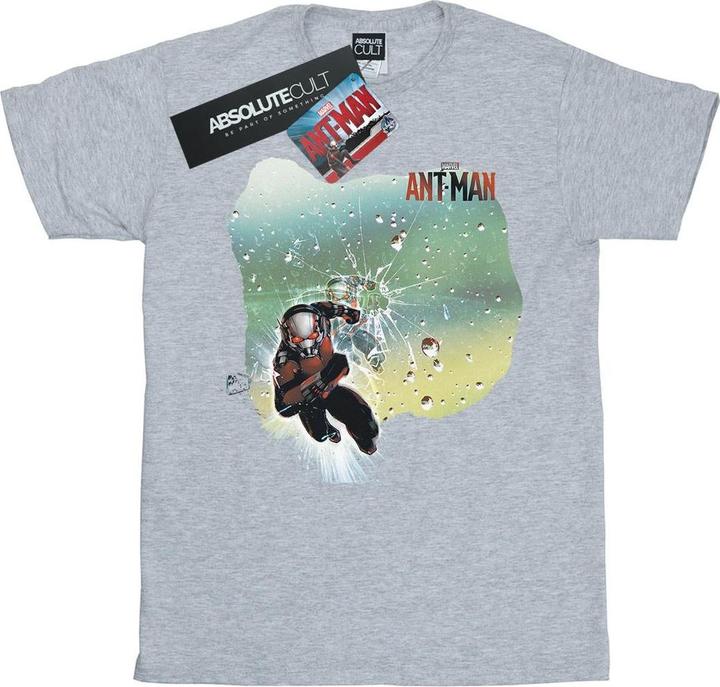 Produktbild AntMan Shatter TShirt (S)
