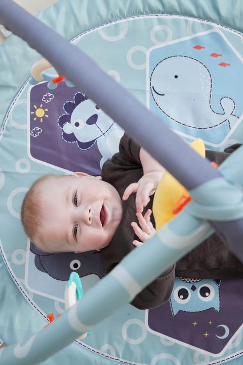 Actual product image Scandinavian Baby Products Zoo Activity Gym