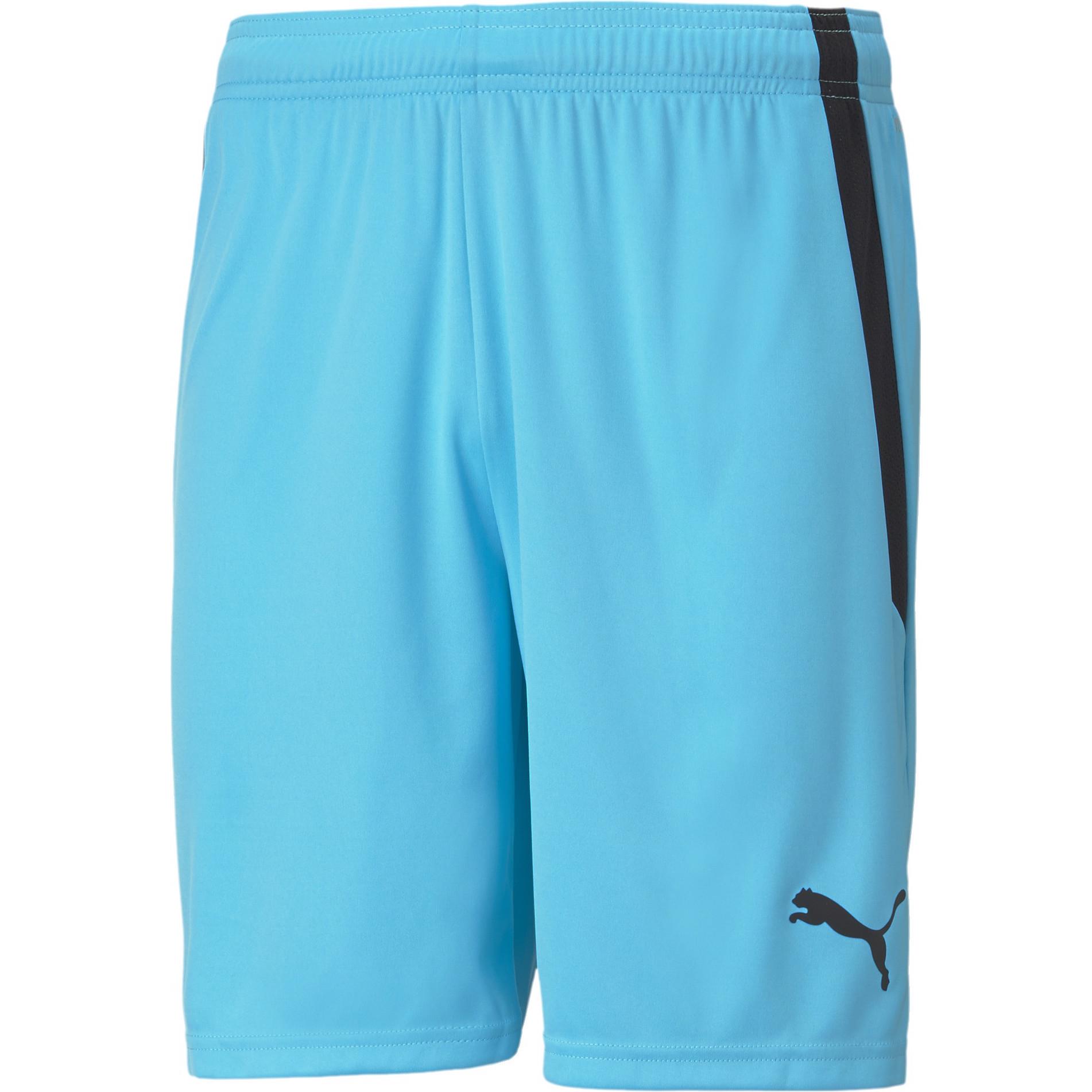 Puma, Herren, Sporthose, teamLIGA Shorts-704924 (XL), Blau, XL