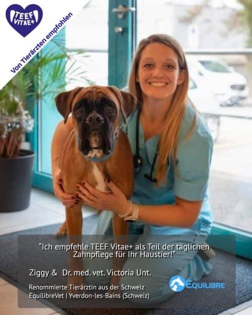 Image du produit Teef Vitae+ Soins dentaires (Chien, Chat)
