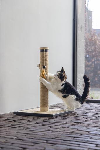 Actual product image Designed by Lotte Vyda (60 cm, Sand)