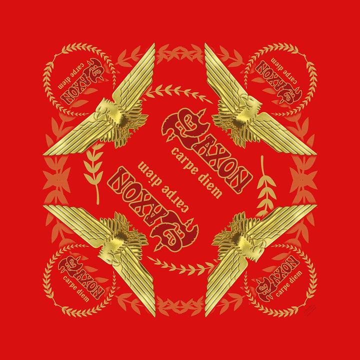 Immagine prodotto Saxon Bandana Carpe Diem