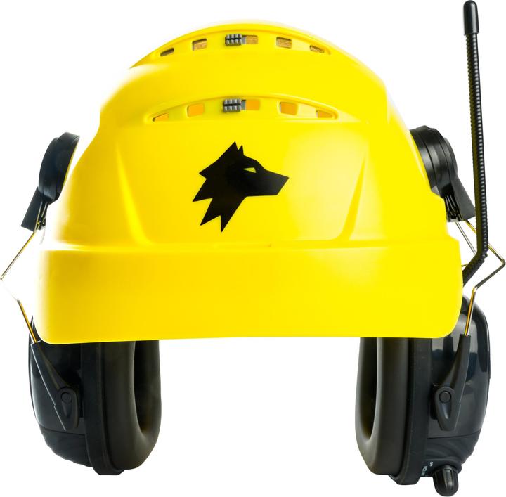 Produktbild Wolf Protection Helmet Pro DAB+