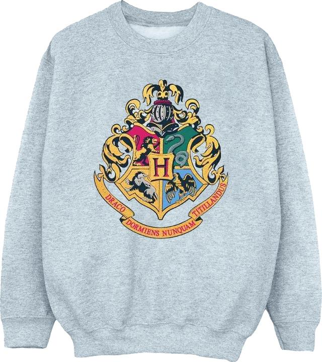 Image du produit - Sweat HOGWARTS CREST GOLD INK - Garçon (152, 158)