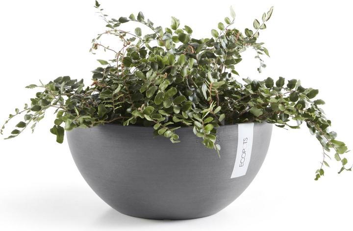 Produktbild Ecopots Brussels (25 cm)