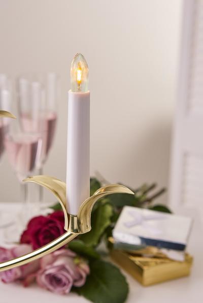 Image du produit Star Trading Guirlande Eucalyptus (0.30 m)