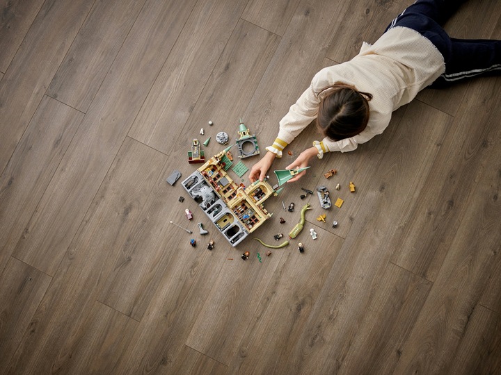 Image du produit LEGO La Chambre des Secrets de Poudlard (76389, LEGO Harry Potter)