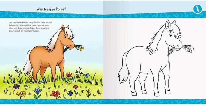 Valori nutrizionali e ingredienti Ravensburger Wieso? Weshalb? Warum? junior AKTIV: Auf dem Ponyhof (Tedesco, Marie Zippel, 2024)