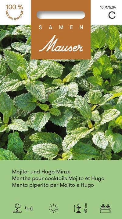 Produktbild Samen Mauser Mojito- und Hugo-Minze (Kräutersamen)