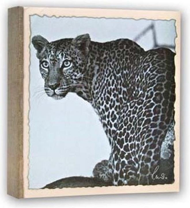 Immagine prodotto ZEP WL57100 Album Slip-in 100 foto 13x19 cm - 12 album
