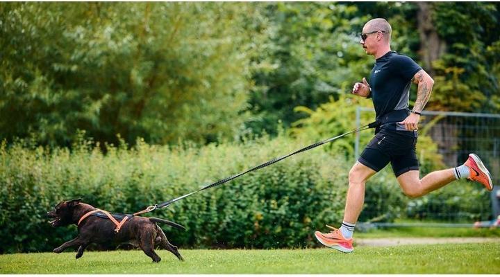 Actual product image Non-Stop Dogwear Non-Stop - Harness Rush - Black/Orange (1, 2, 3, 4, 5, 6, 7, 8, Dog, Dog sport, General)