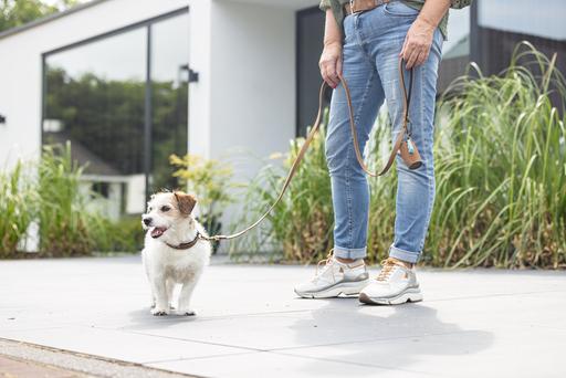 Actual product image Beeztees Bz Balacron Barf Bag Dispenser O (Dog)