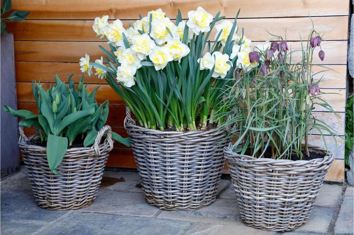 Actual product image Jaco Rattan Basket (22 cm)