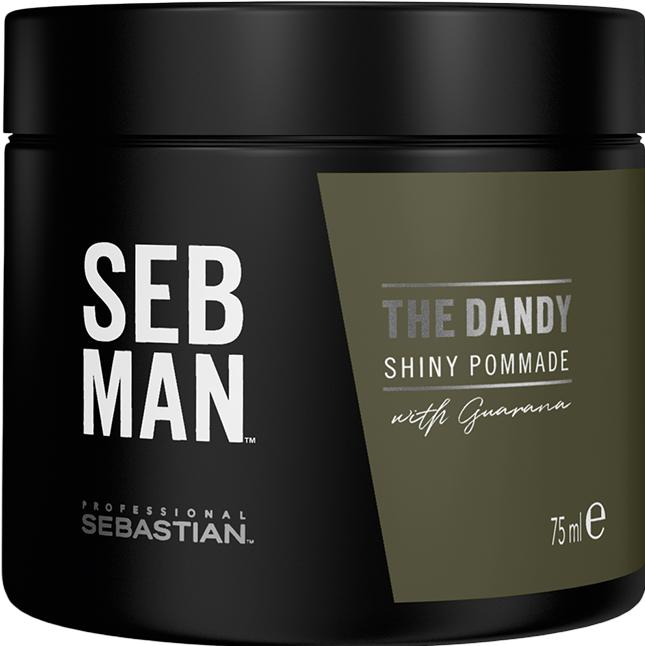 Actual product image Sebastian SEB MAN - The Dandy Shiny Pomade (Hair pomade)