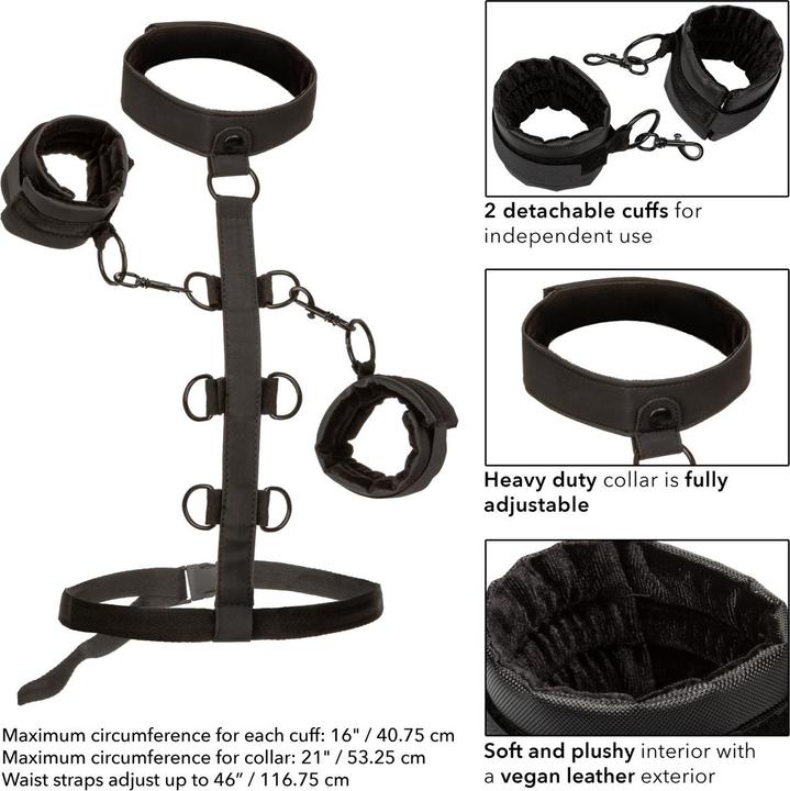 Actual product image CalExotics Boundless™ Collar Body Restraint