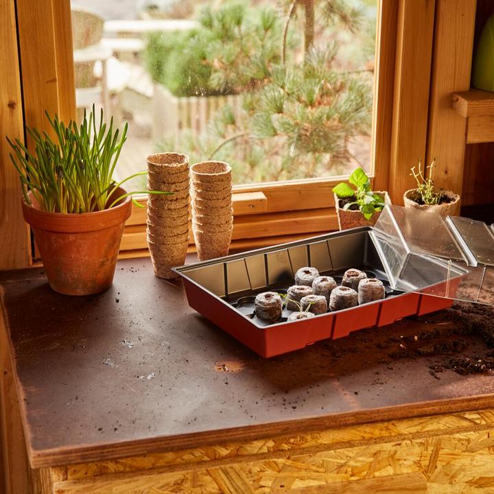 Produktbild Siena Garden Anzuchtgewächshaus