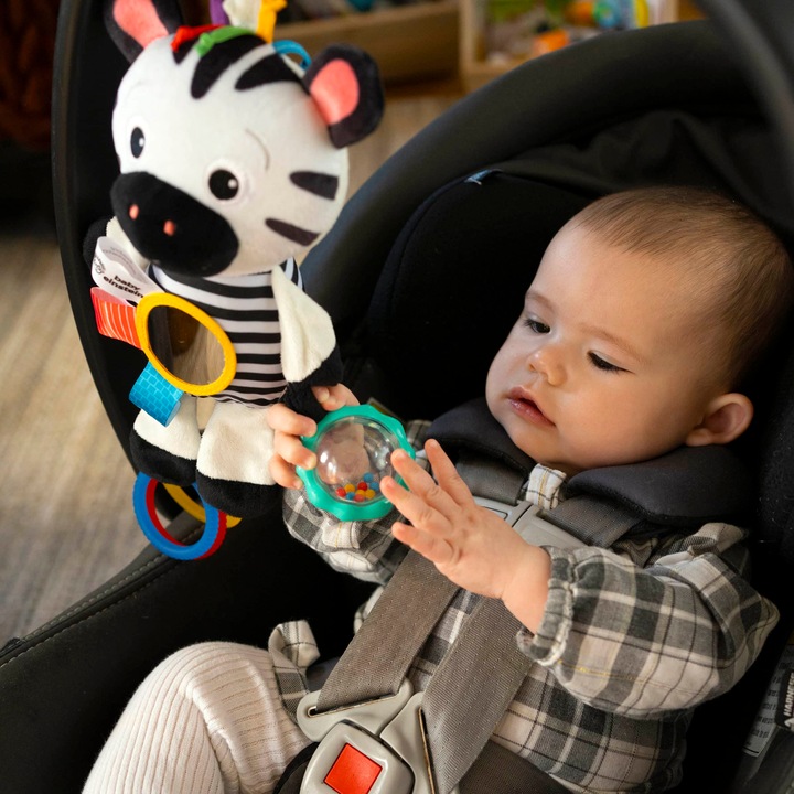 Immagine prodotto Baby Einstein Gioco sensoriale di Zen