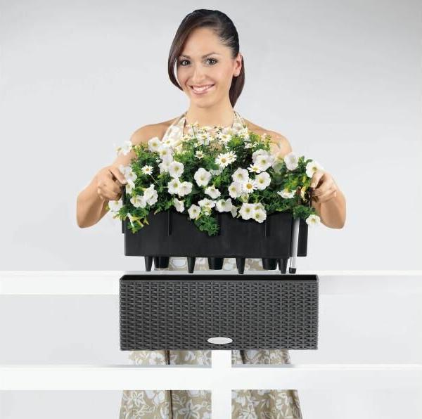 Actual product image Lechuza Balconera Cottage (50 x 19 x 19 cm)