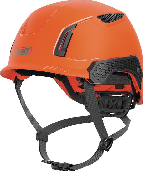 Signal Orange