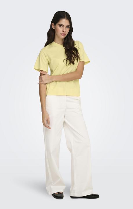 Actual product image JdY Jdypisa S/S Print Top Jrs Noos (M)