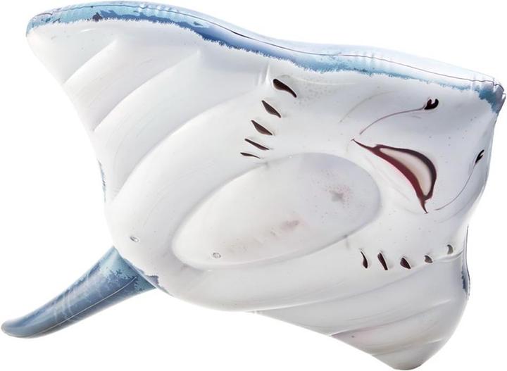 Actual product image Intex Stingray