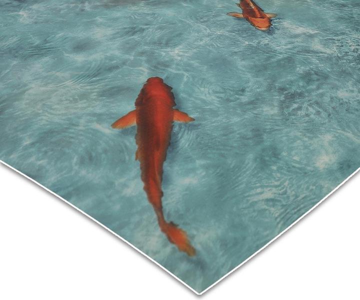 Actual product image Karat Koi