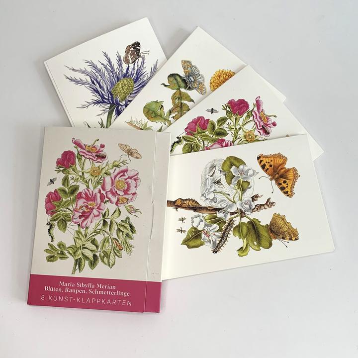 Produktbild Maria Sibylla Merian - Acht Kunst-Klapp (8 Stk.)