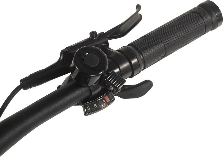 Actual product image Adore E-Mountainbike Hardtail 29" GX-950 Mittelmotor 75NM / 15Ah schwarz (44 cm)