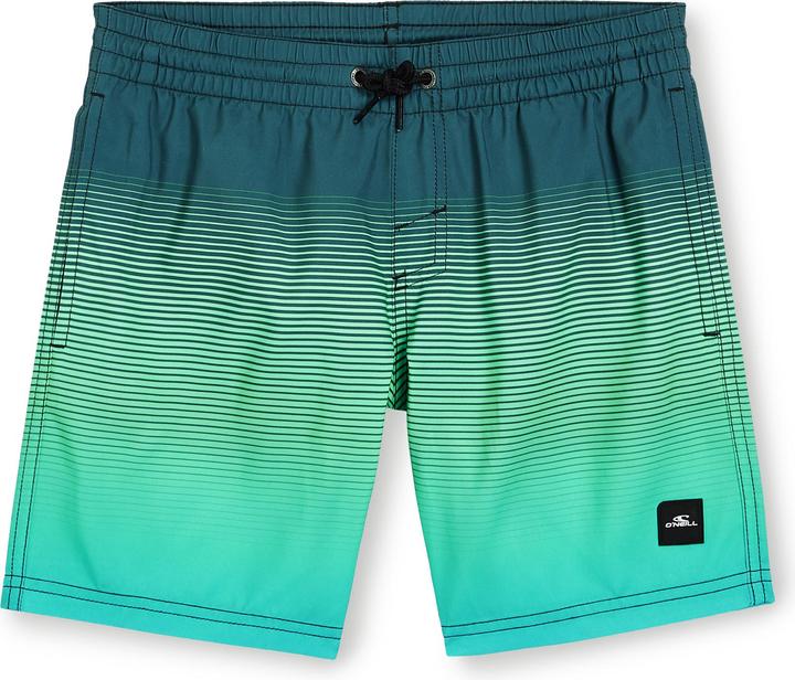 Produktbild O'Neill Jack Cali Gradient 14" Swim Shorts