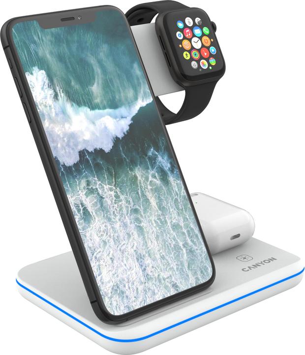 Actual product image Canyon WS-303 (15 W)