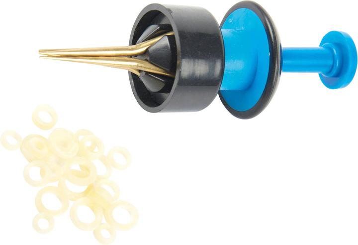 Rameau Écarteur anneau pellet + 30 élastiques