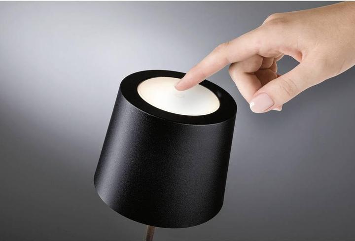 Actual product image Paulmann Gilo (240 lm)
