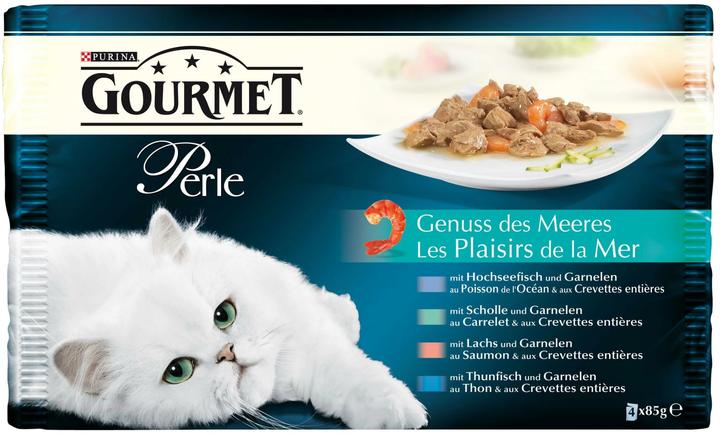 Poisson, Saumon