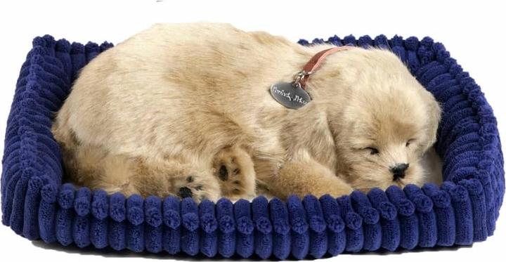 Actual product image