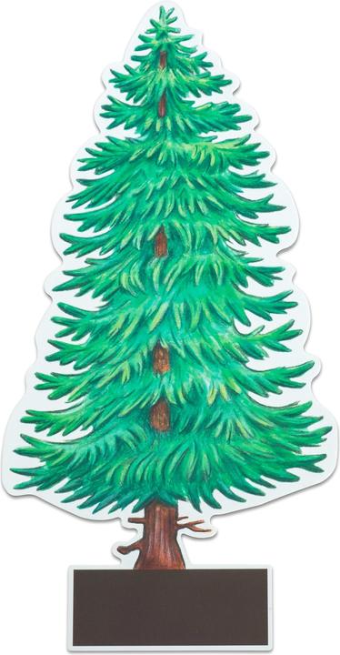 Actual product image Betzold Determine trees made easy (German, 6 - 10 years)