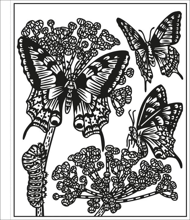 Produktbild Mein Farbenzauber-Malbuch: Die bunte Welt der Insekten