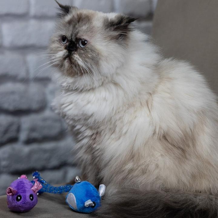 Actual product image Red Dingo Dingo Žaisliukas katė Pelė Tota & Upek 2 vnt. (Play mouse cat)