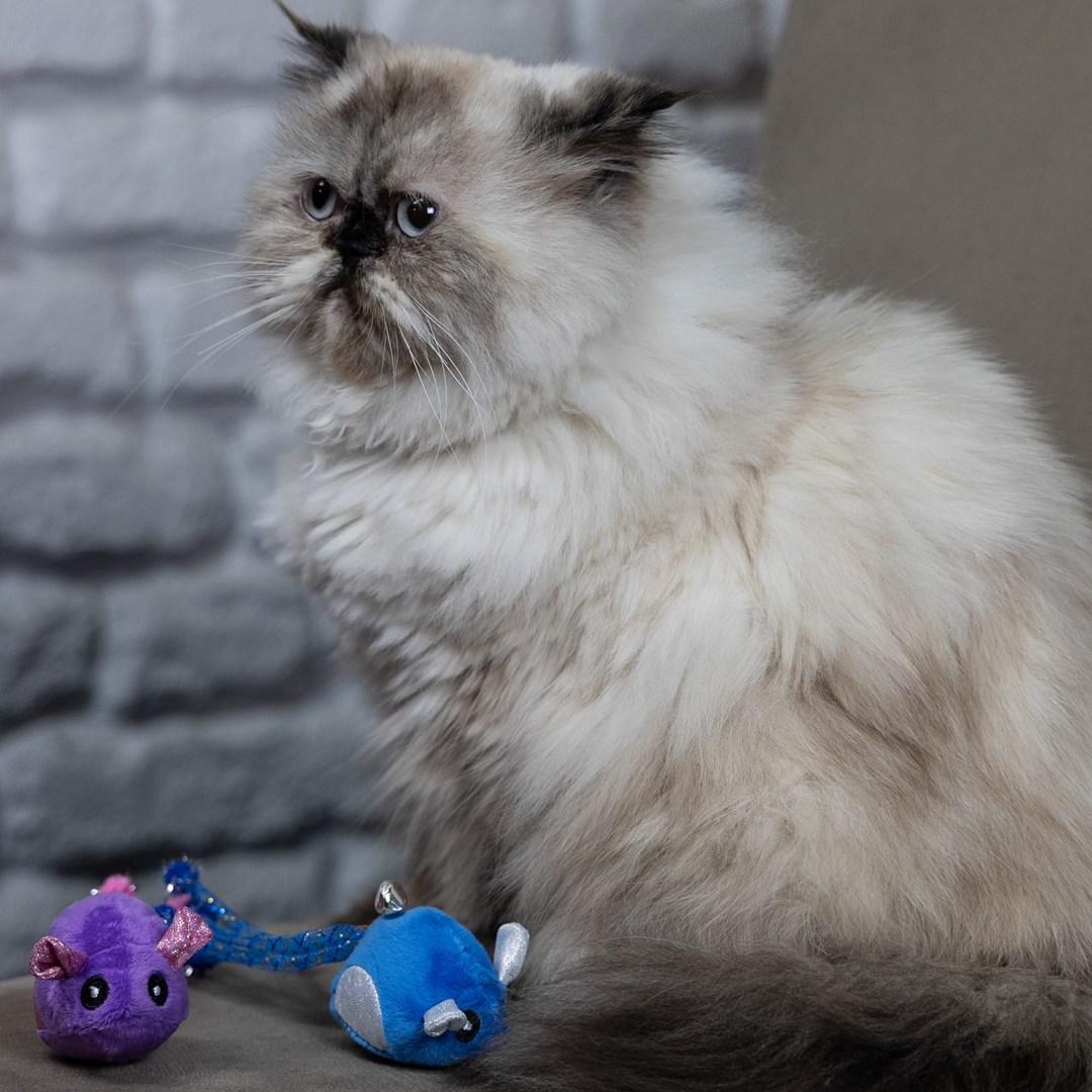 Thumbnail - Red Dingo Dingo Žaisliukas katė Pelė Tota & Upek 2 vnt. (Mausspielzeug), Katzenspielzeug