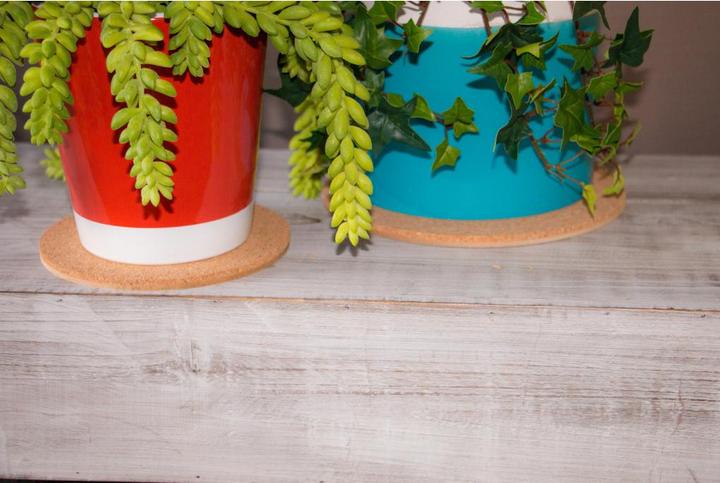 Actual product image Colibri Coaster (1x, Pan coaster)