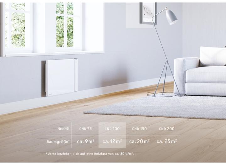 Actual product image Stiebel Eltron CND 100, 1 kW Duo wall convector for approx. 12 m², without plug (1000 W)