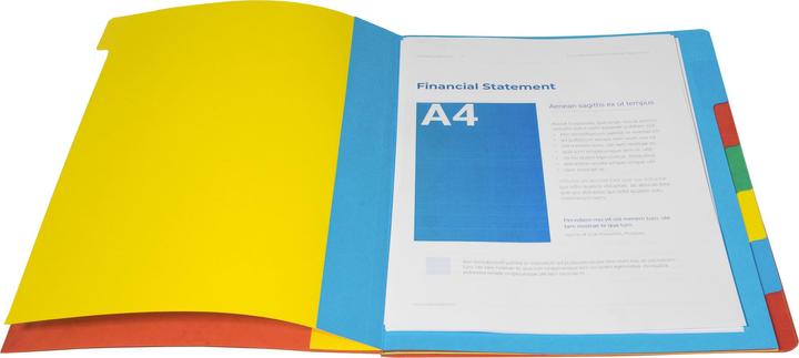 Actual product image Exacompta HARMONIKA - A4 file folders (A4, 1x)