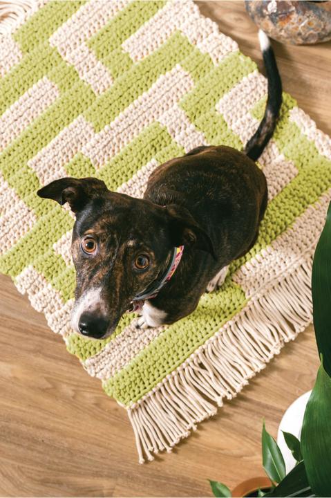 Actual product image DMC Manual Nova Vita No. 4, FR