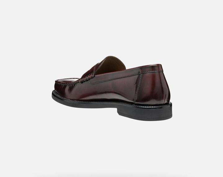 Image du produit Geox Recanati (43)