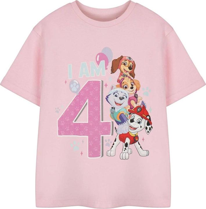 Actual product image Paw Patrol Girls Short-Sleeved Birthday T-Shirt (104)
