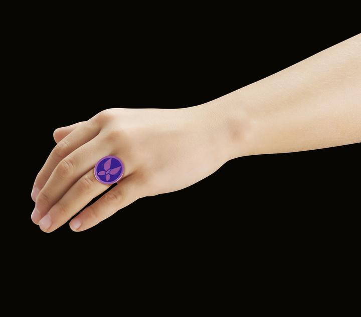 Actual product image Playmobil Hawk Moth (71340, Playmobil Miraculous)