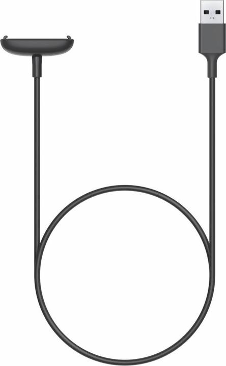 Actual product image Fitbit Retail Charging Cable